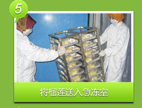 将榴莲送入急冻室