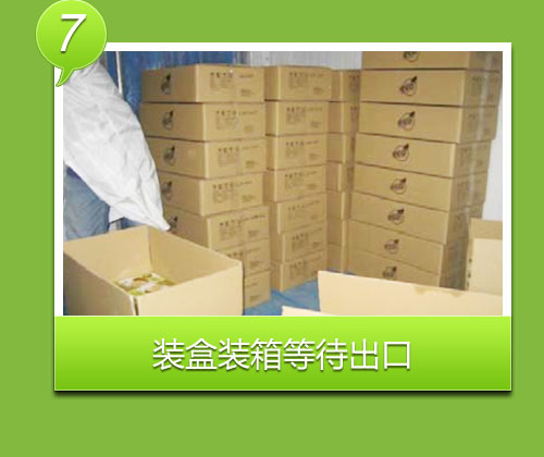 装盒装箱等待出口